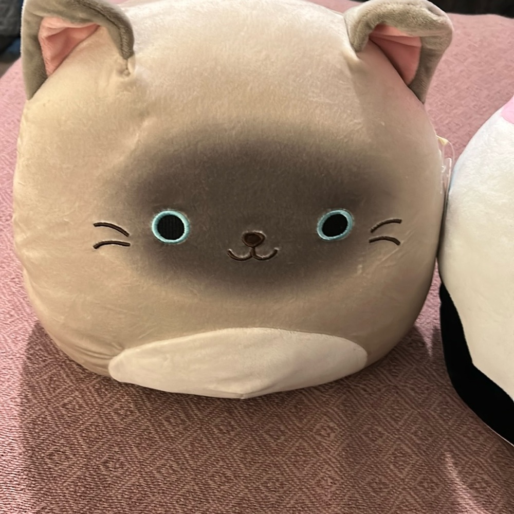 Squish mellow and TY Muffin no stains, rips or snags super soft
